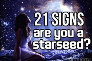 Are You A Starseed? 21 Signs To Look For