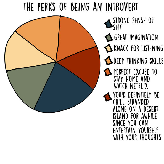The Life of An Introvert Described By 17 Different Graphs