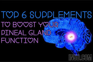 Top 6 Supplements To Boost Your Pineal Gland Function