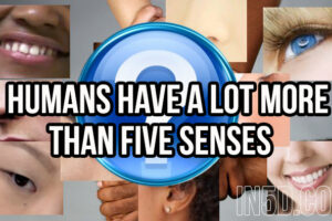 Humans Have A LOT MORE Than Five Senses