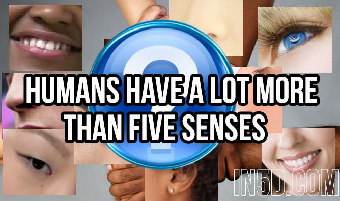 Humans Have A Lot More Than Five Senses