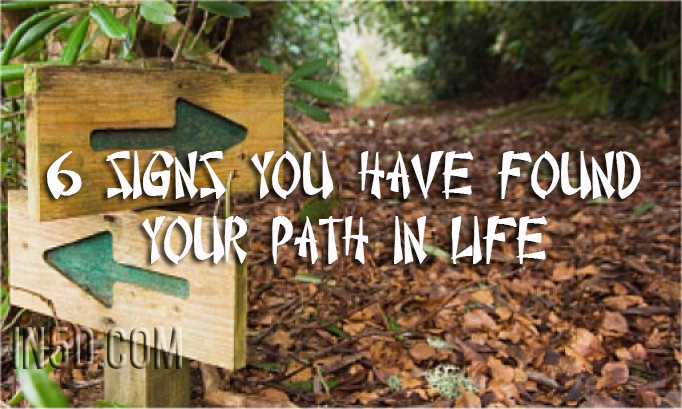 6 Signs You Have Found Your Path In Life