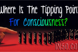 Where Is The Tipping Point For Consciousness?
