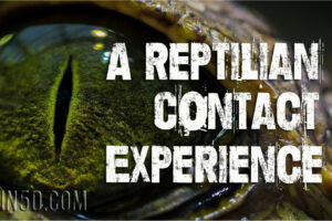 A Reptilian Contact Experience