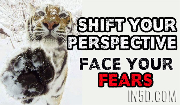 Shift Your Perspective - Face Your Fears