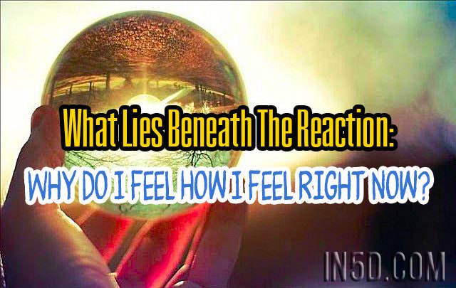 What Lies Beneath The Reaction: Why Do I Feel How I Feel Right Now?