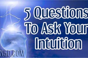 5 Questions To Ask Your Intuition