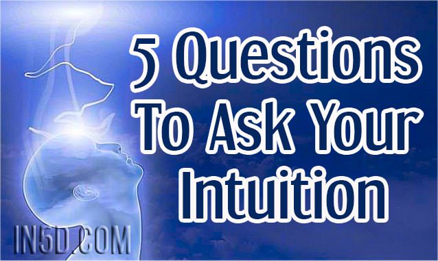 5 Question To Ask Your Intuition