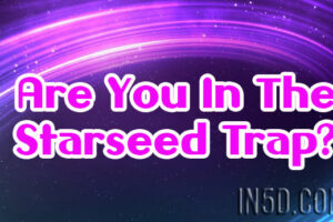 Are You In The Starseed Trap?