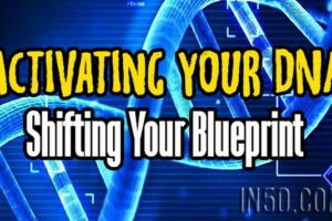 Activating Your DNA – Shifting Your Blueprint