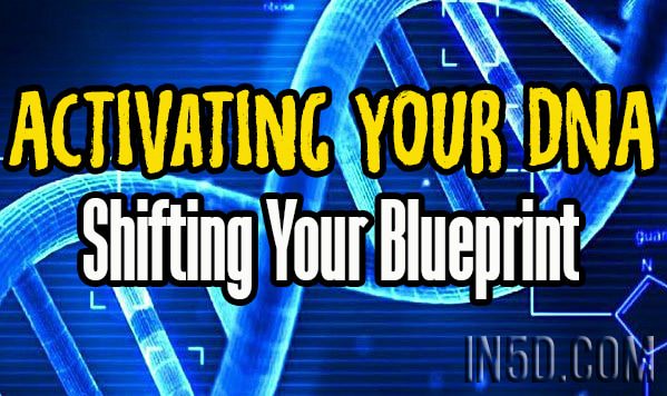Activating Your DNA - Shifting Your Blueprint