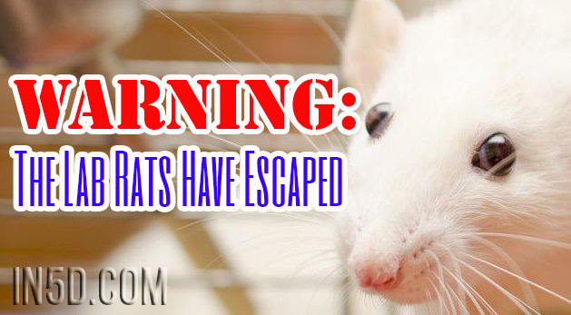 Warning: The Lab Rats Have Escaped