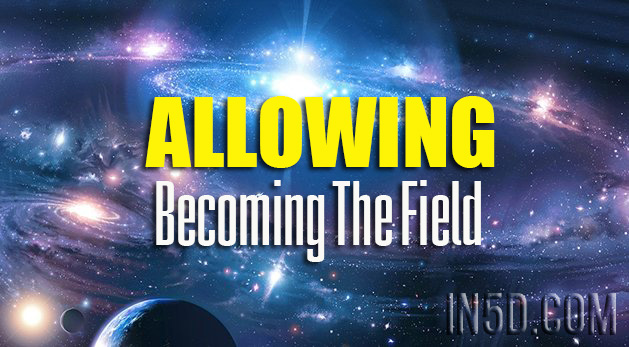 Allowing - Becoming The Field