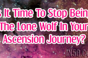 Is It Time To Stop Being The Lone Wolf In Your Ascension Journey?