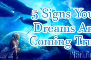5 Signs Your Dreams Are Coming True