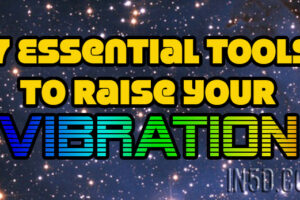 7 Essential Tools To Raise Your Vibration