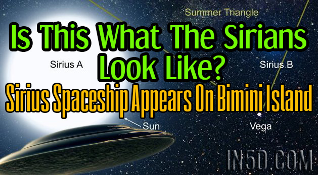 Is This What The Sirians Look Like? Sirius Spaceship Appears On Bimini Island