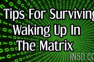 7 Tips For Surviving Waking Up In The Matrix