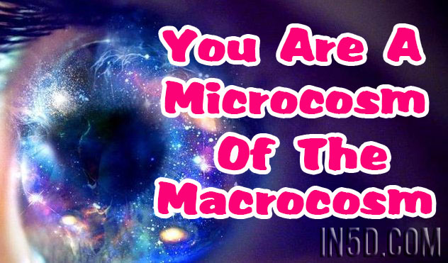 You Are A Microcosm Of The Macrocosm
