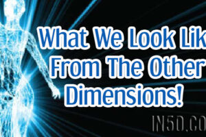 What We Look Like From The Other Dimensions!