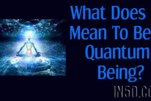 What Does It Mean To Be A Quantum Being?