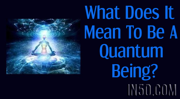 What Does It Mean To Be A Quantum Being?