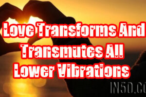 Love Transforms And Transmutes All Lower Vibrations