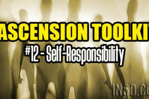 Ascension Toolkit #12 – Self-Responsibility