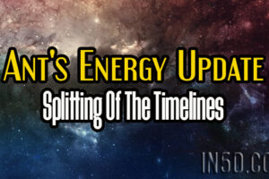 Ant’s Energy Update – Splitting Of The Timelines