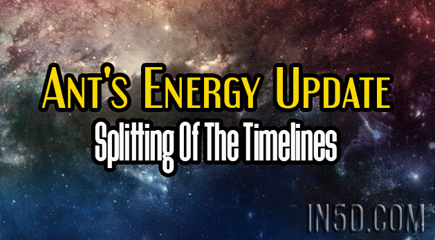 Ant's Energy Update - Splitting Of The Timelines