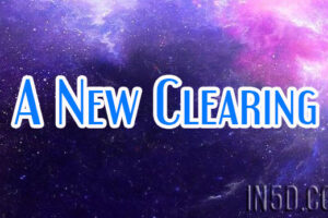 A New Clearing