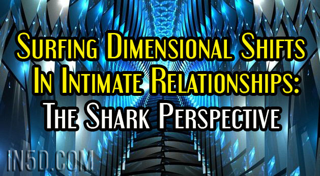 Surfing Dimensional Shifts In Intimate Relationships: The Shark Perspective