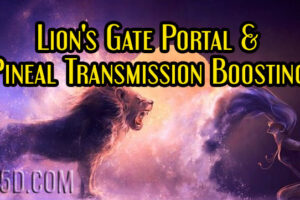 Lion’s Gate Portal & Pineal Transmission Boosting