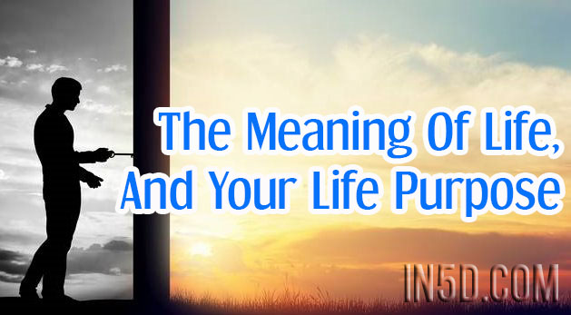 The Meaning Of Life, And Your Life Purpose
