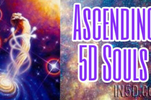 Ascending 5D Souls
