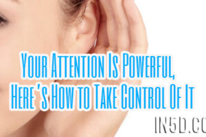 Your Attention Is Powerful, Here’s How to Take Control Of It