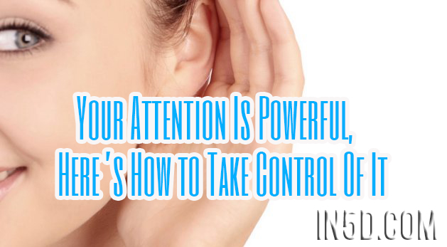 Your Attention Is Powerful, Here’s How to Take Control Of It