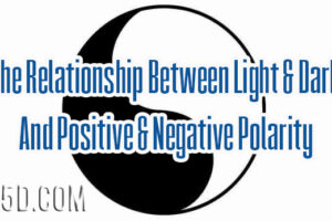 The Relationship Between Light & Dark And Positive & Negative Polarity