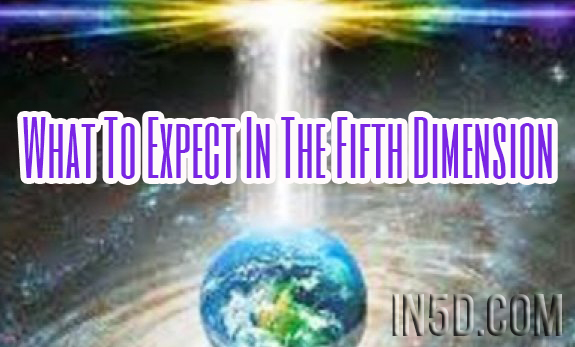 What To Expect In The Fifth Dimension