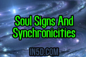 Soul Signs And Synchronicities