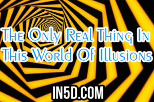 The Only Real Thing In This World Of Illusions