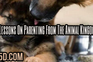 5 Lessons On Parenting From The Animal Kingdom