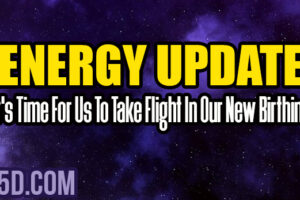 Energy Update – It’s Time For Us To Take Flight In Our New Birthing