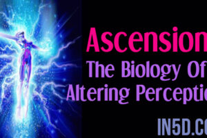 Ascension – The Biology Of Altering Perception