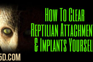 How To Clear Reptilian Attachments & Implants Yourself