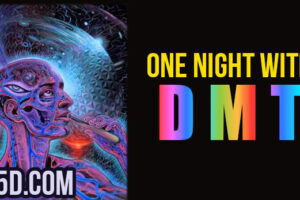 One Night With DMT – My Experience