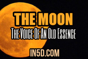The Moon – The Voice Of An Old Essence