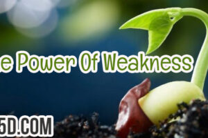 The Power Of Weakness