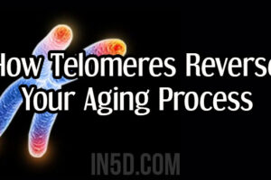 How Telomeres Reverse Your Aging Process – When Science & Spirituality Merge