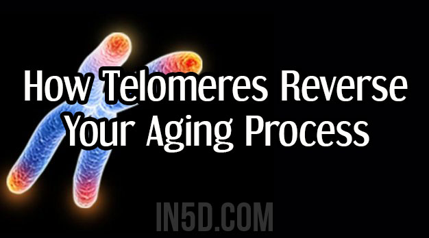 How Telomeres Reverse Your Aging Process - When Science & Spirituality Merge